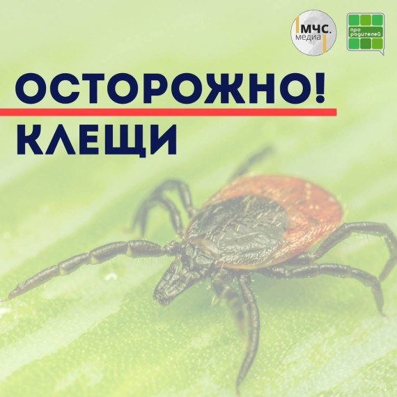 Осторожно!!! Клещи!.
